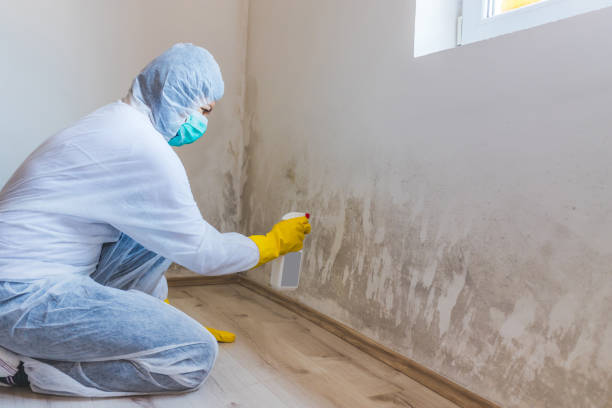 Mold Remediation specialist working in Swedesboro
