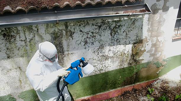 Mold Removal service in Swedesboro